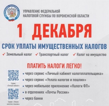 Платить налоги легко.