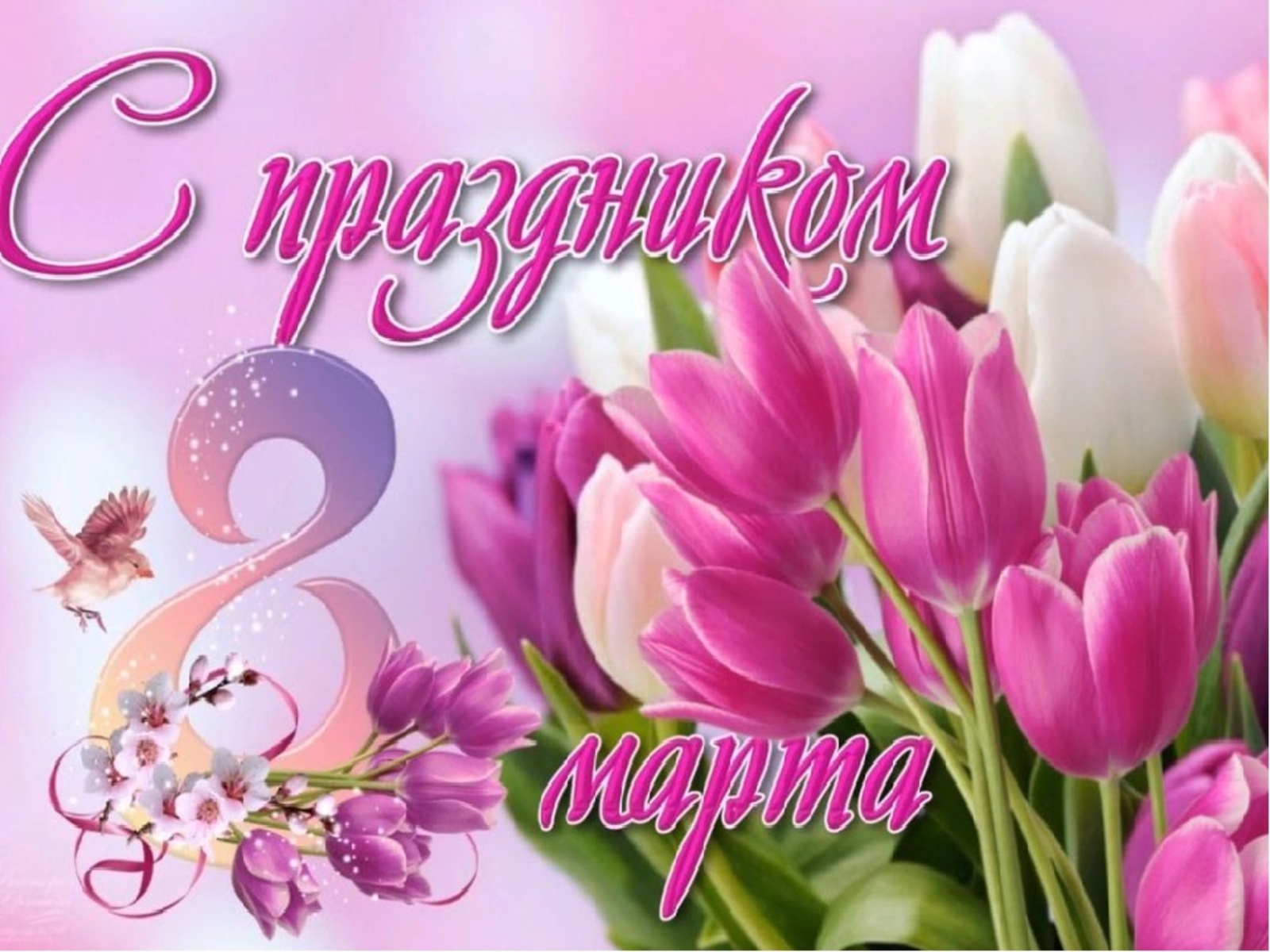 Милые, любимые женщины!.