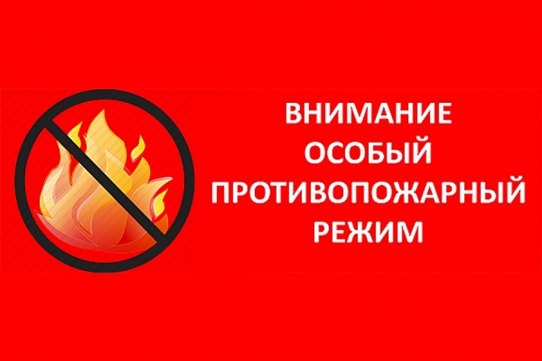 С начала года в Воронежской области произошло 1678 ландшафтных пожаров и 21 лесной пожар..