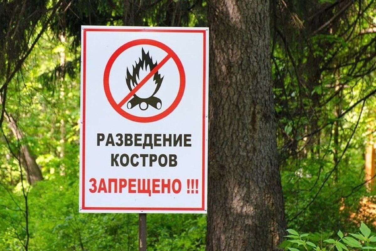 На территории Воронежской области продолжает действовать особый противопожарный режим.