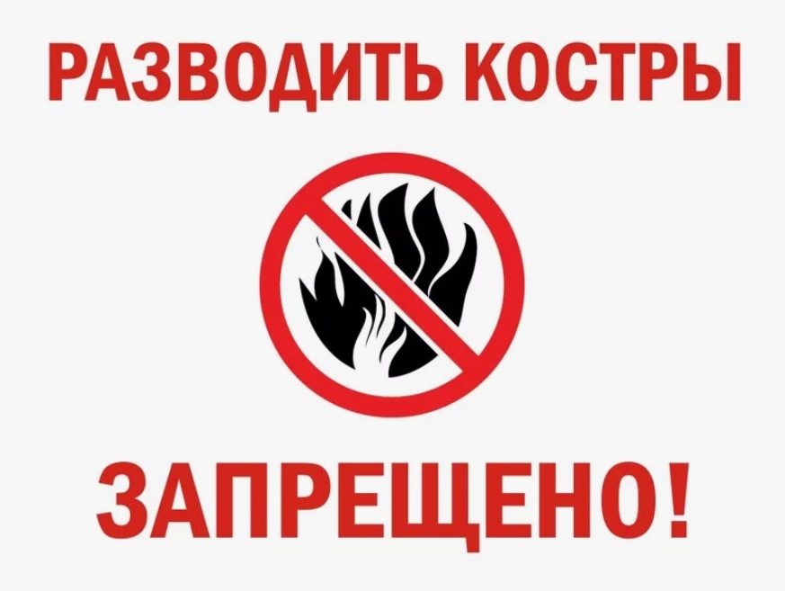 С 1 апреля в Воронежской области запретят разводить костры.