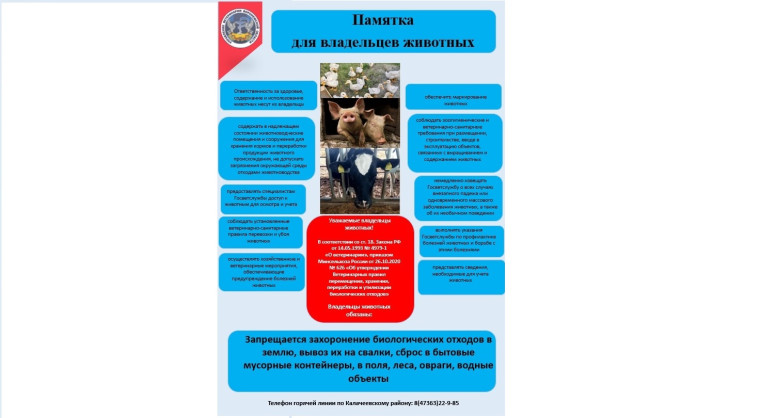 Памятка для владельцев животных. Памятка для владельцев животных.